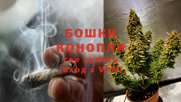 гашик Верея
