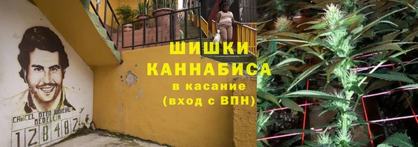 твердый Верхний Тагил