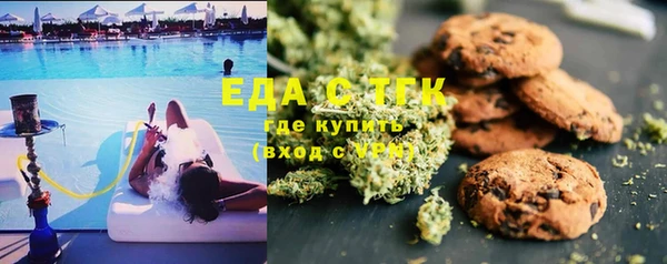 гашик Верея