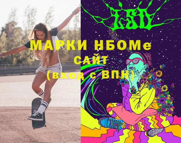 гашик Верея