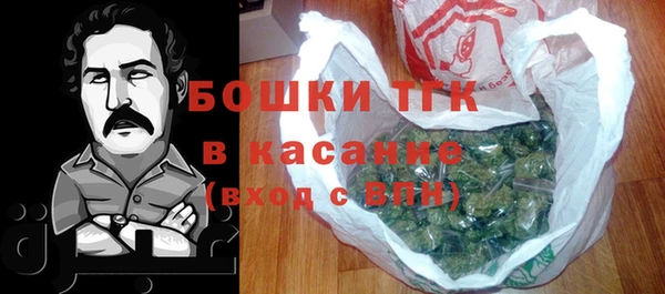 твердый Верхний Тагил