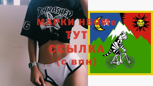 гашик Верея
