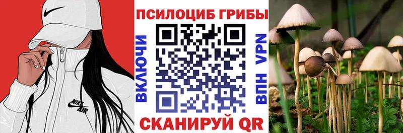 Галлюциногенные грибы Magic Shrooms  Купить  Ишимбай 